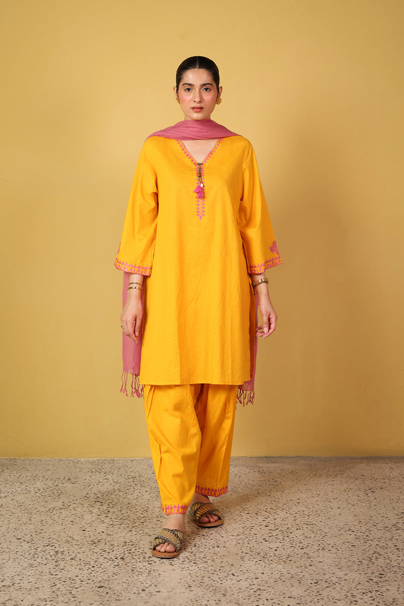 Kachnaar Signature Ensemble