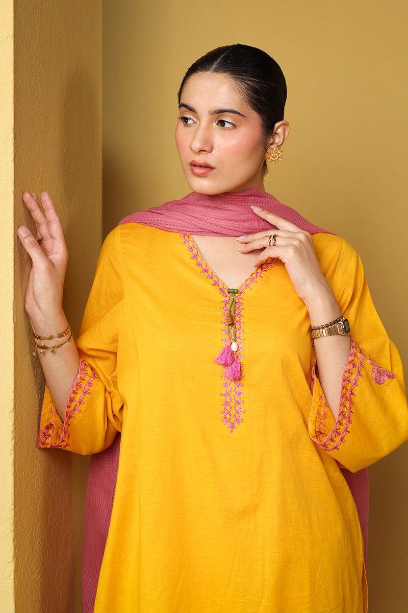 Kachnaar Signature Ensemble