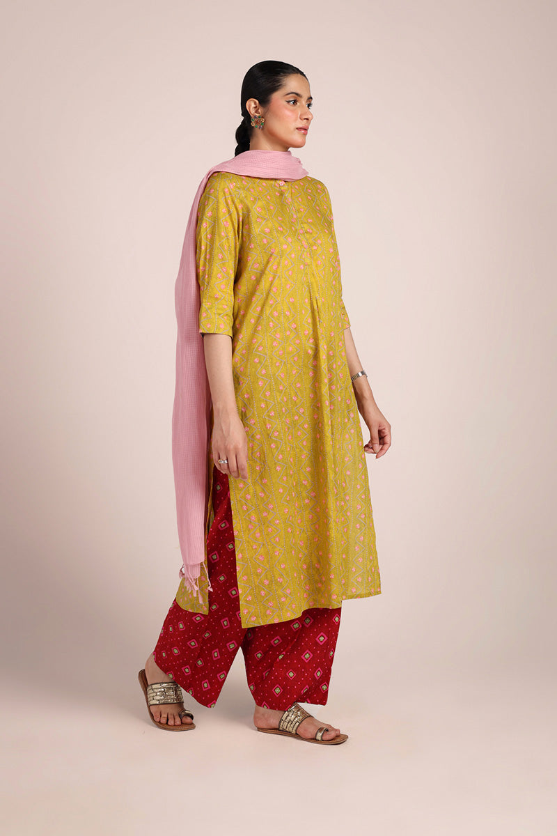 Rangeela Tonal Kurta