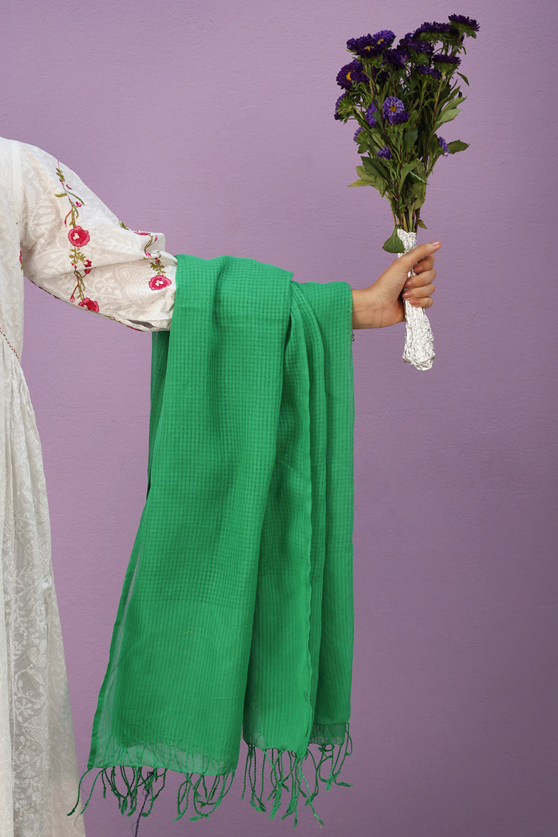 100% Pure Cotton Dupatta