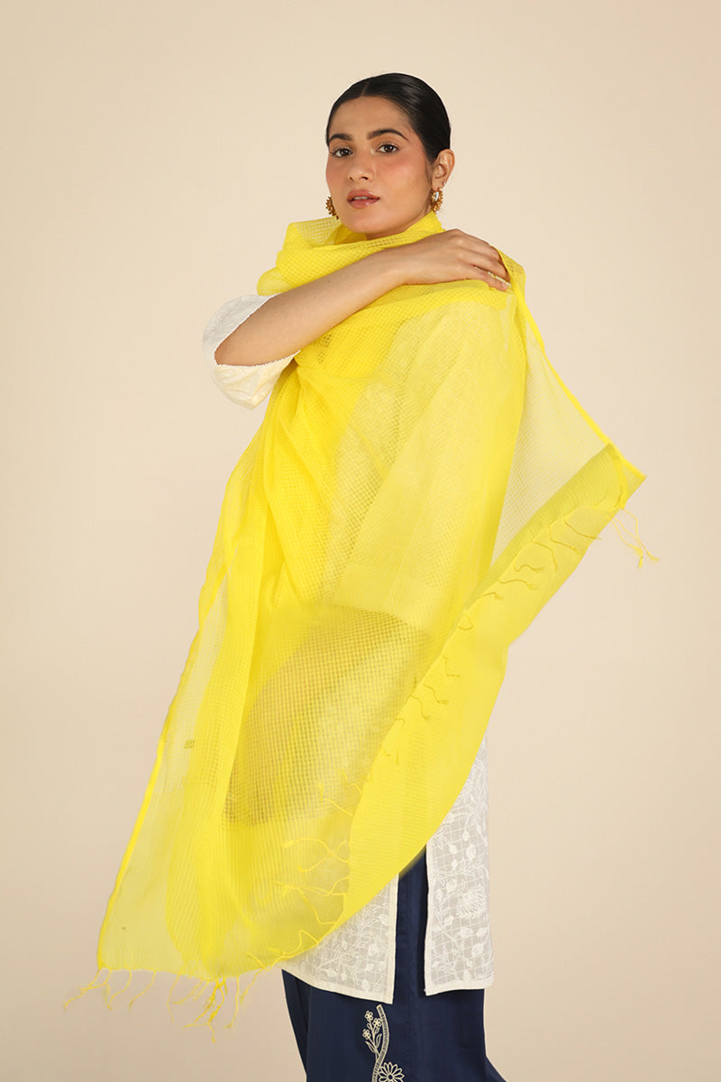 100% Pure Cotton Dupatta