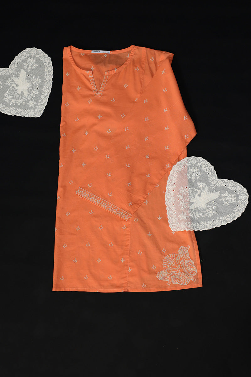 Quiet Paisley Kurti
