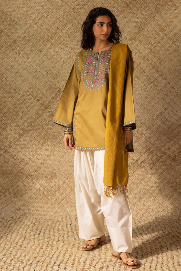 Rang Edit Kurti