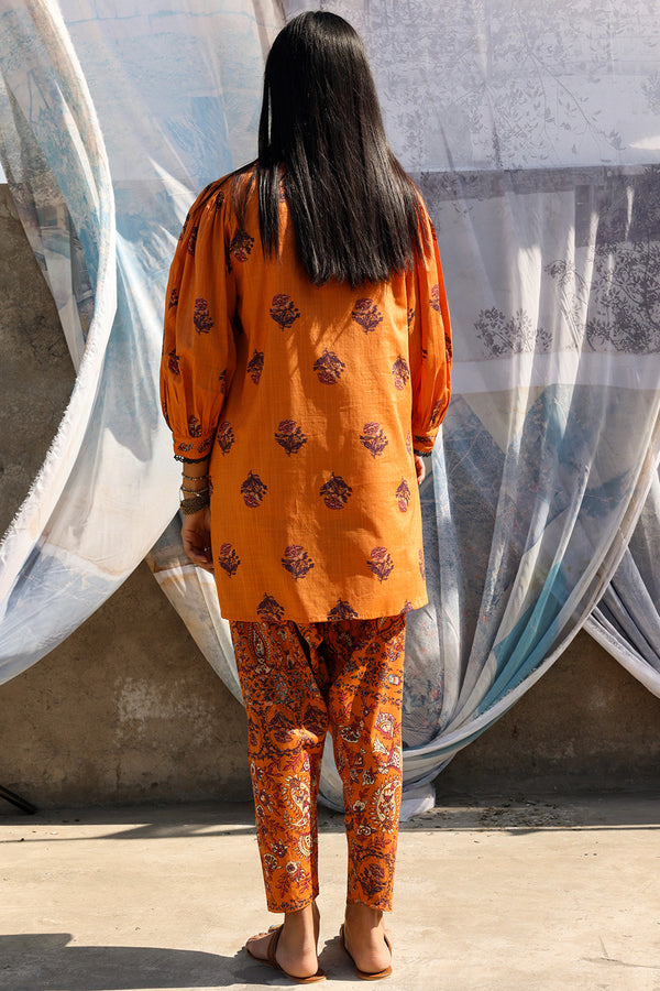 Garden Bloom Tulip Set