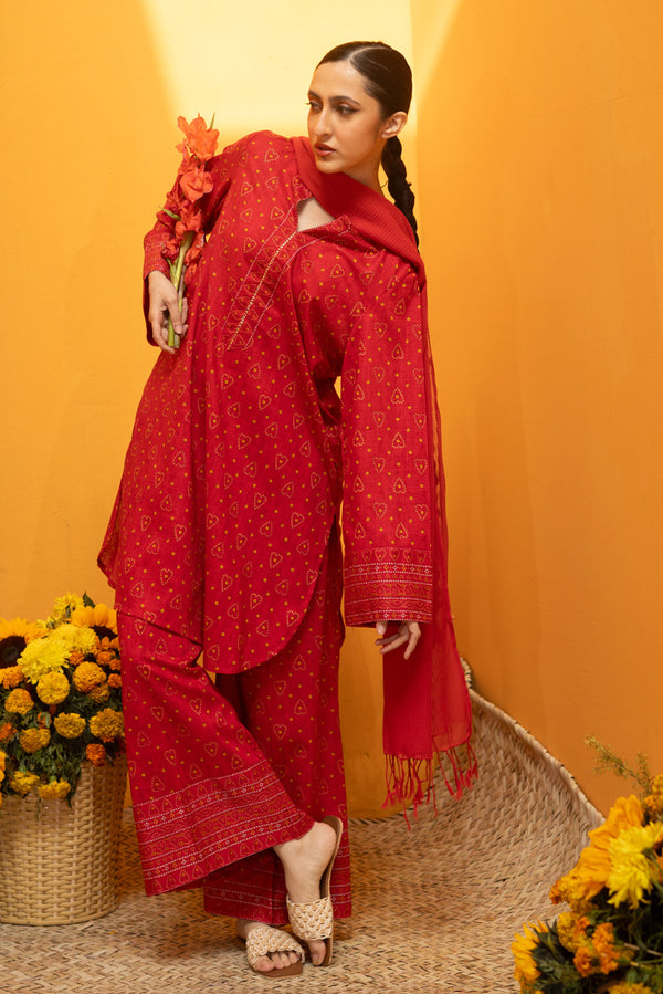 Mukaish Beats Printed Set