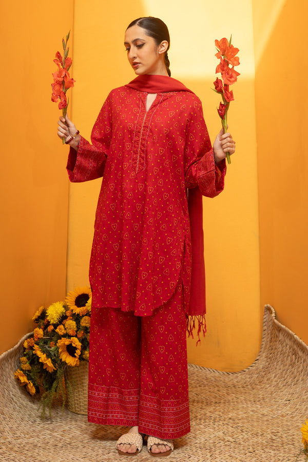 Mukaish Beats Printed Set