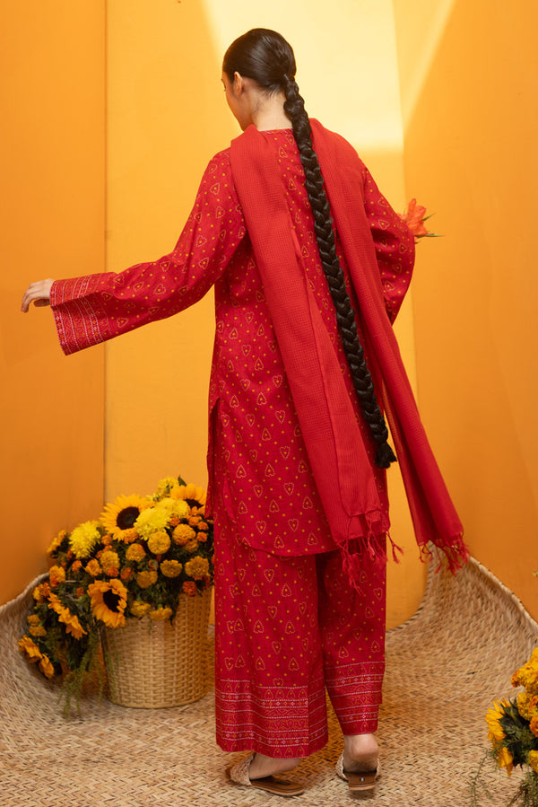 Mukaish Beats Printed Set