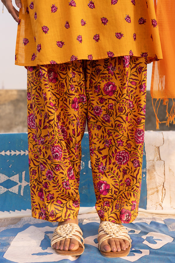 Petite Bloom Series Set