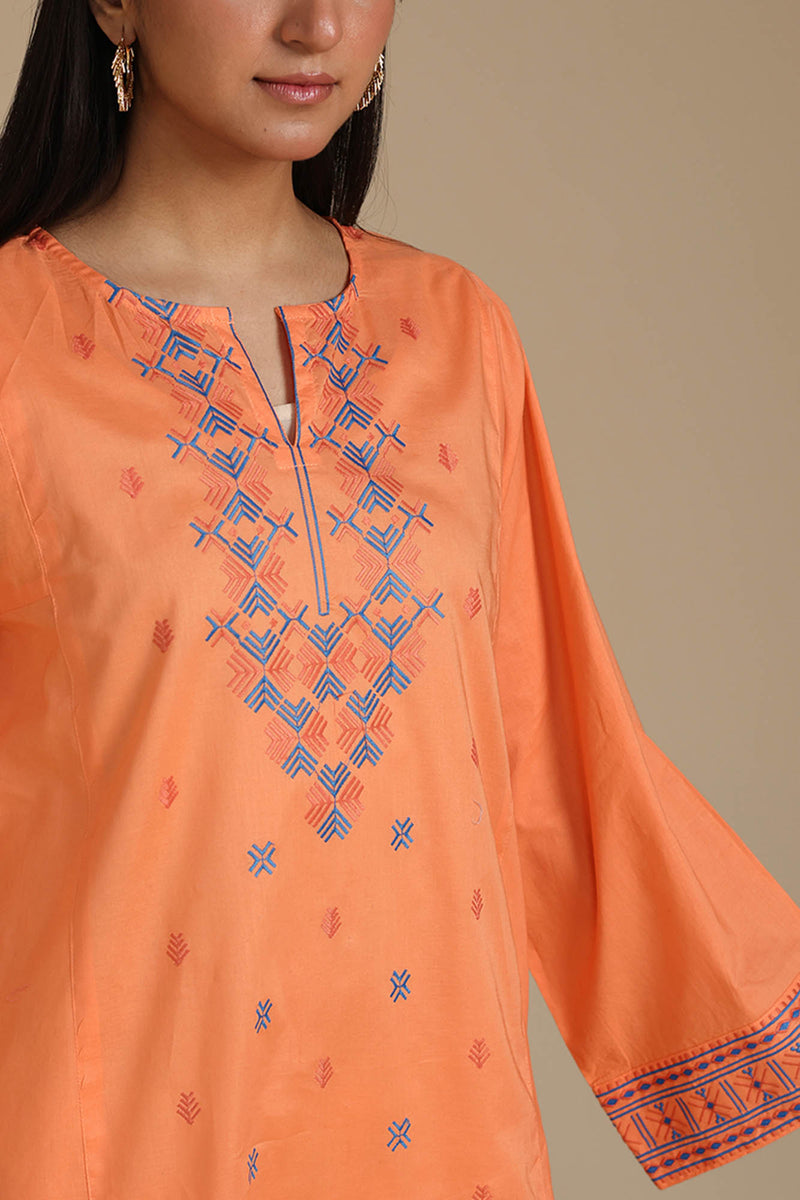 Embroidered Tale Kurti