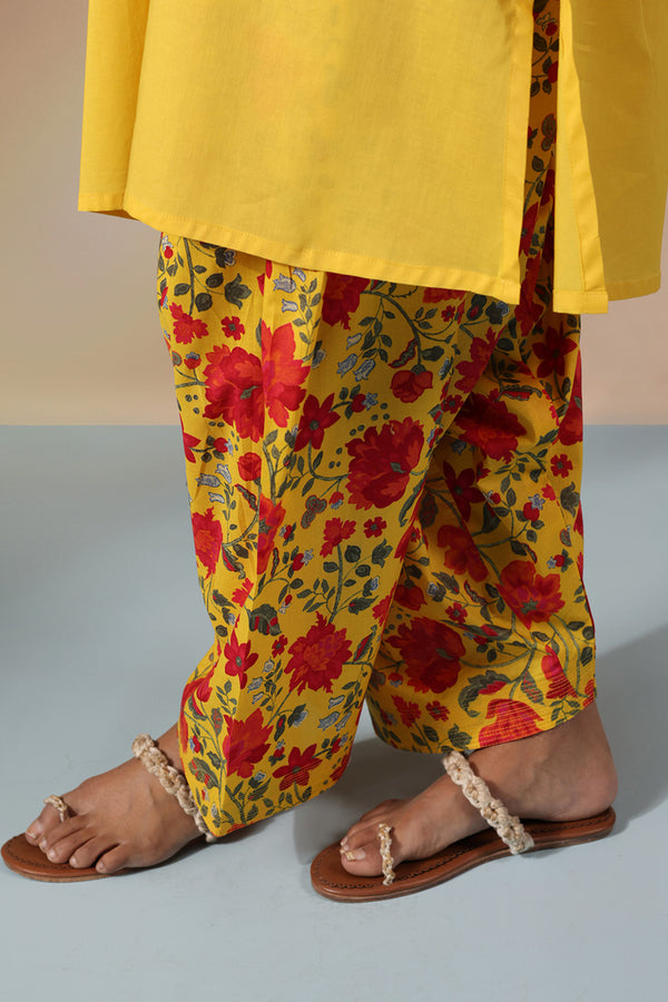 Chinar Petal Printed Set