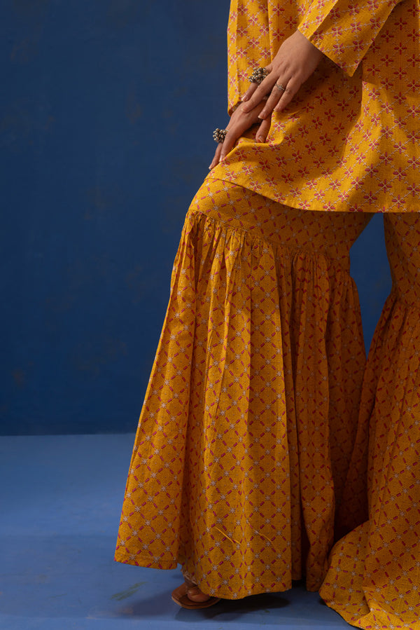 Stitch Theory Gharara Set