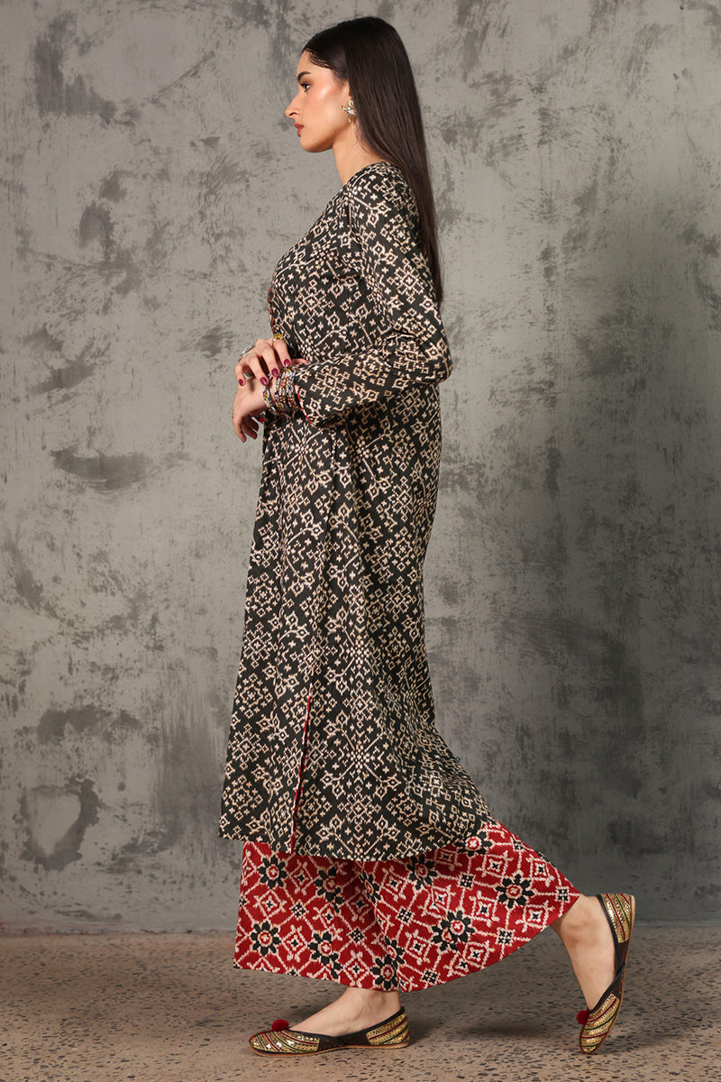 Rang Patola Printed Set