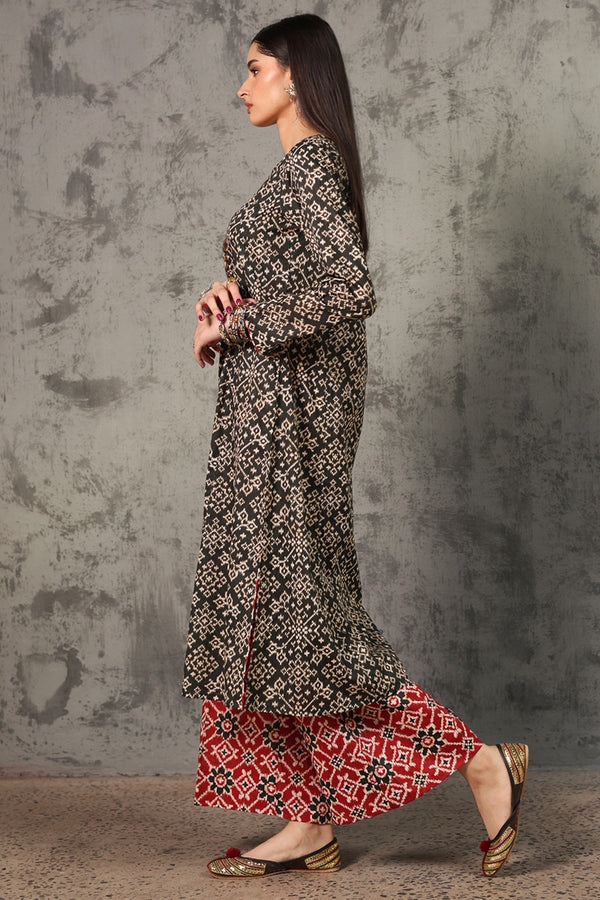 Rang Patola Printed Set