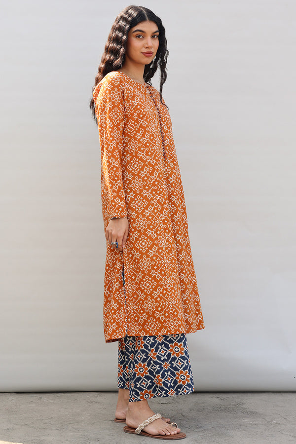 Rang Patola Printed Set