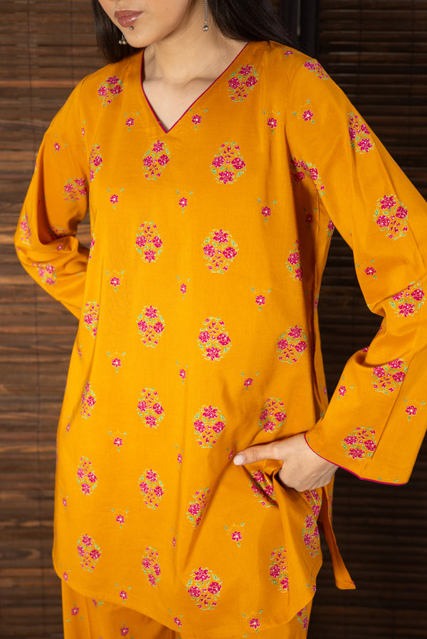 Meenakari Printed Set