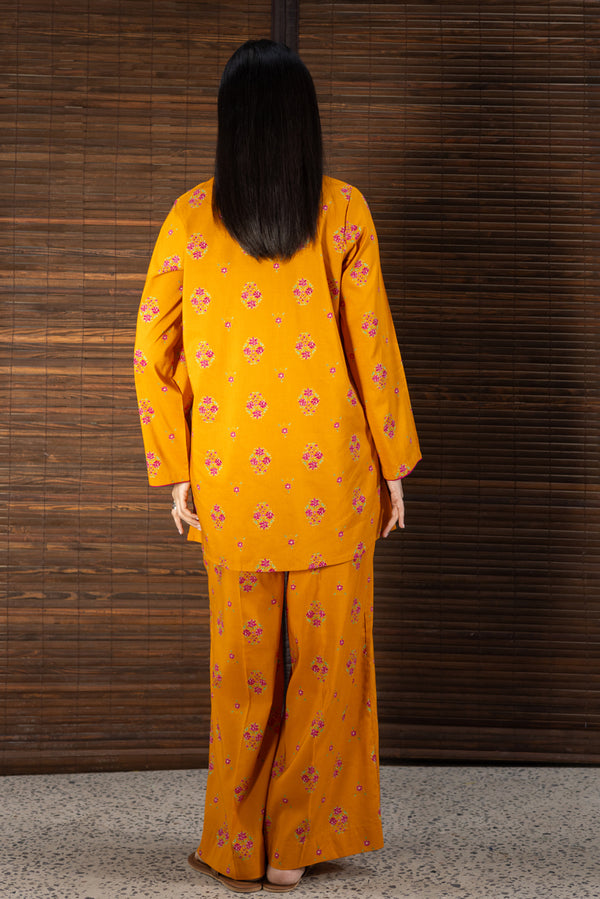 Meenakari Printed Set