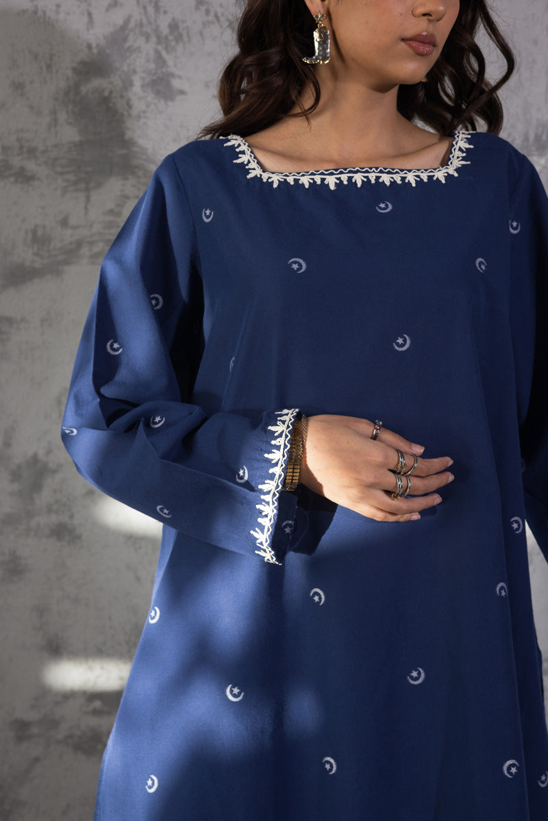 navy