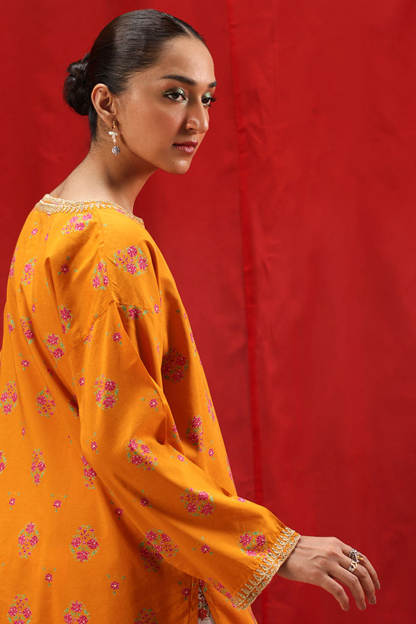 Meenakari Lustre Set