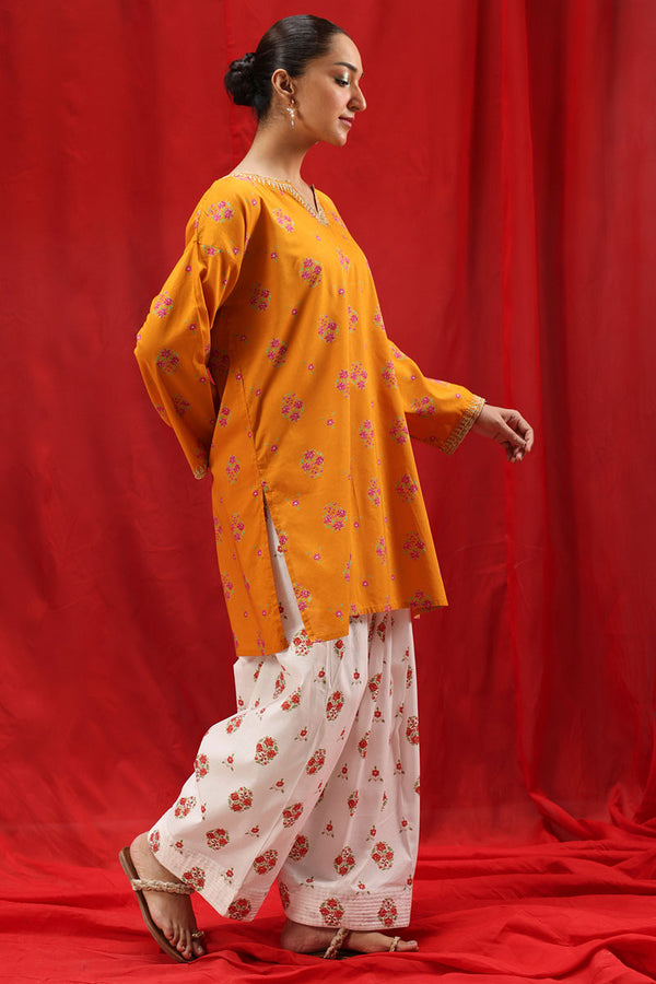 Meenakari Lustre Set