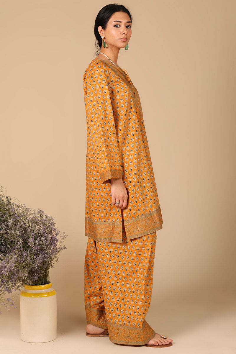 Chaman Farshi Set