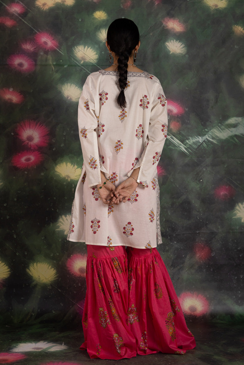 aatishigulabi