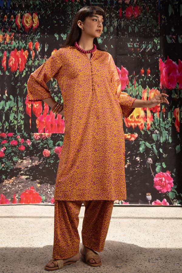 Printed Phulkari Edit Set