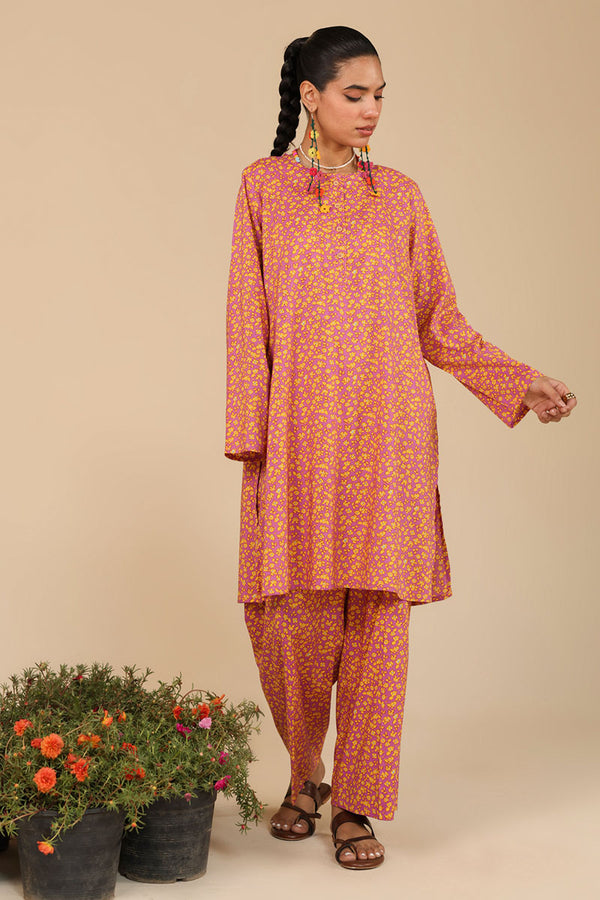 Phulkari Muse Co-Ord Set