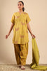 Generation Titli Embroidered Suit, view 2