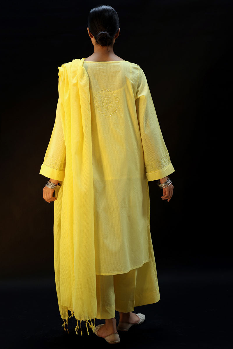 dafodil