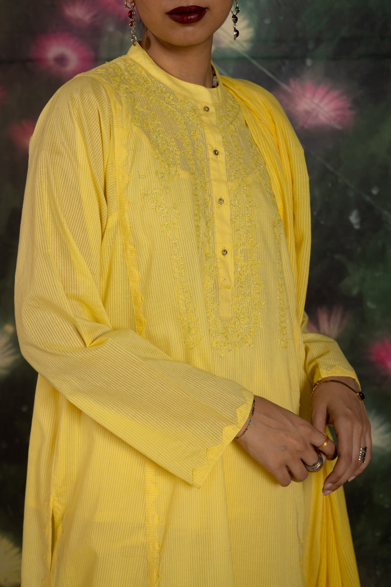 dafodilyellow