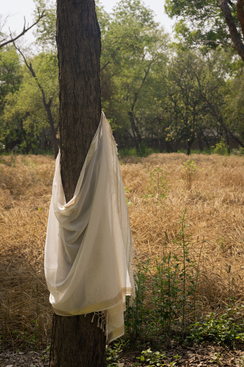 Lurex Line Dupatta