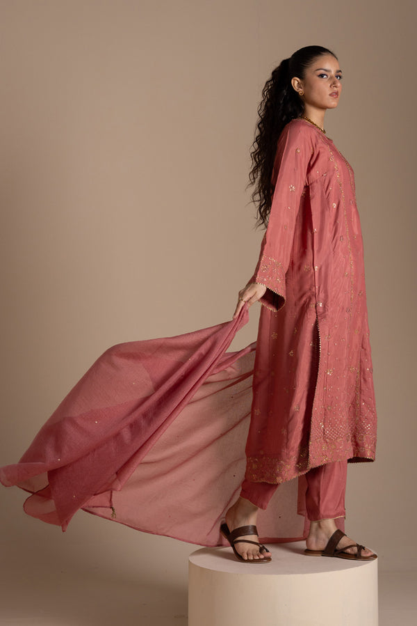 Soft Sitara Embroidered Suit