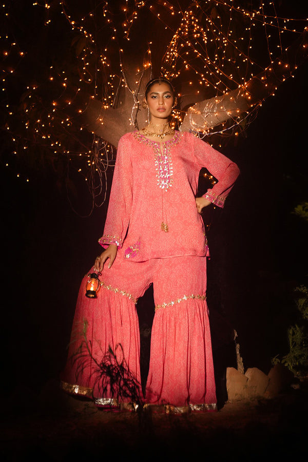 Gota Opulence Gharara Set