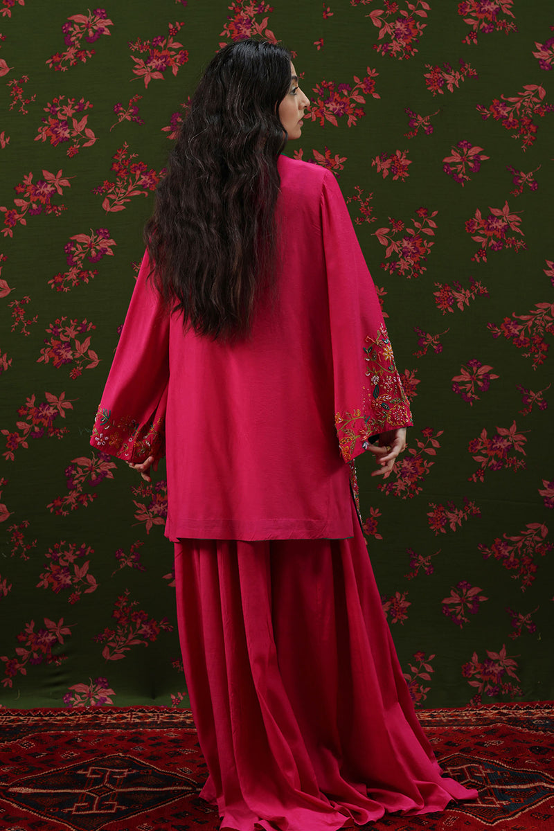 Embroidered Sharara Set