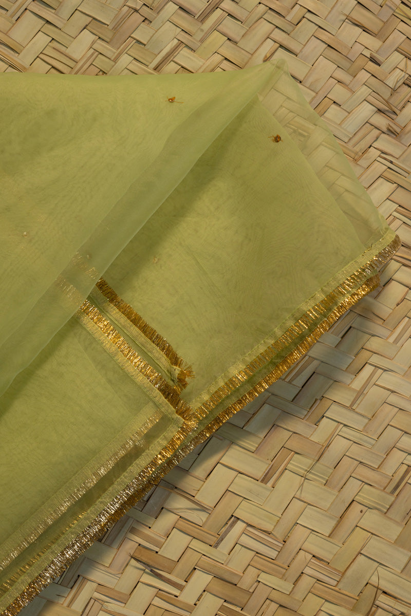 Shimmer Nur Dupatta