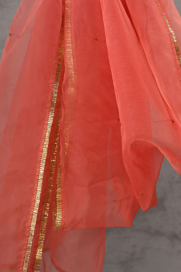 Shimmer Nur Dupatta