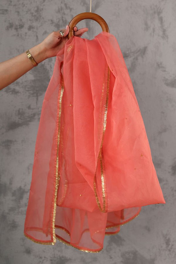 Shimmer Nur Dupatta