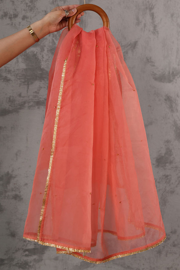 Shimmer Nur Dupatta