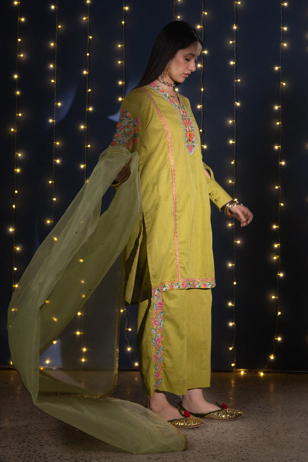 Shimmer Nur Dupatta