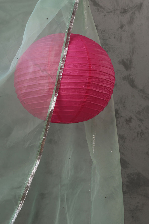 Shimmer Nur Dupatta