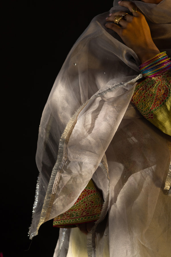 Shimmer Nur Dupatta
