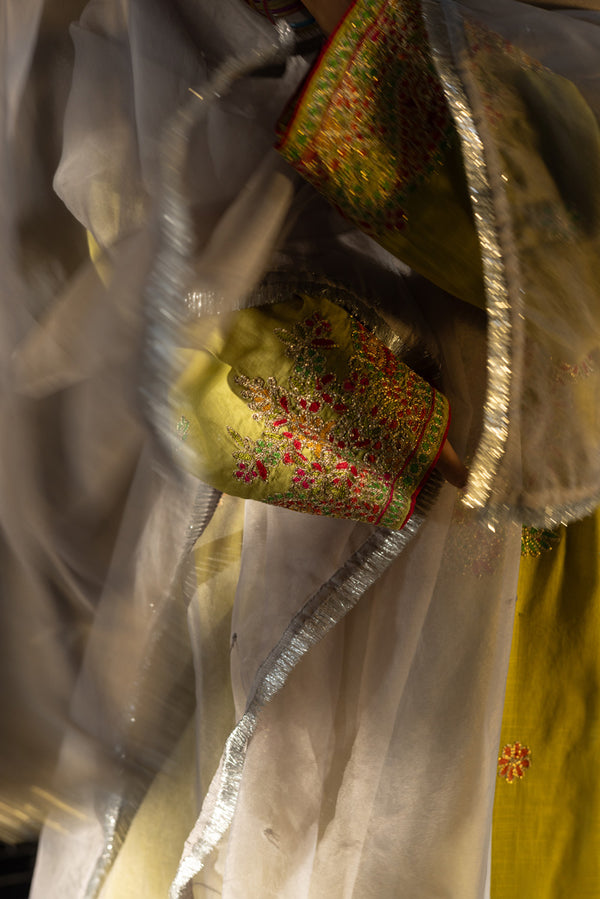 Shimmer Nur Dupatta
