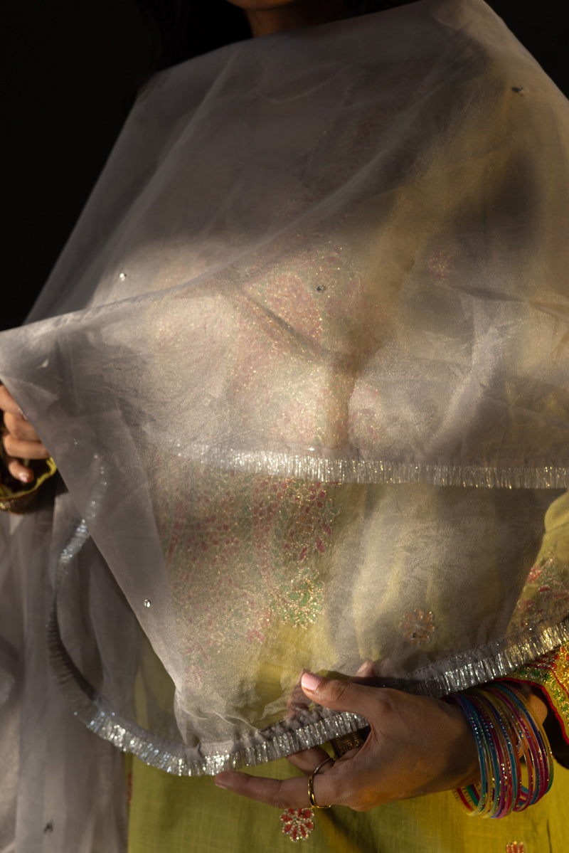 Shimmer Nur Dupatta