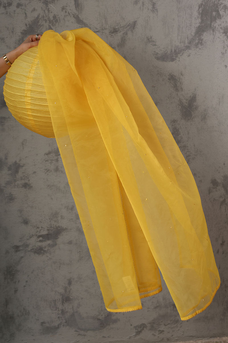 dafodilyellow