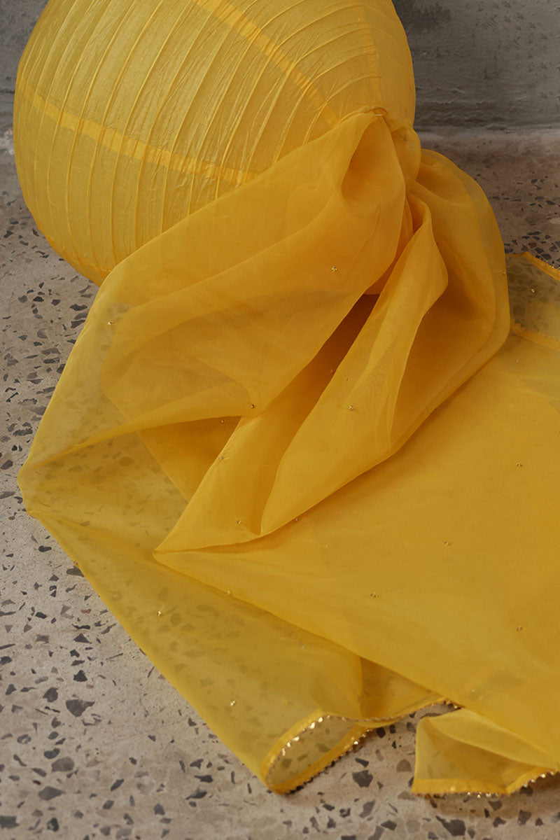 dafodilyellow