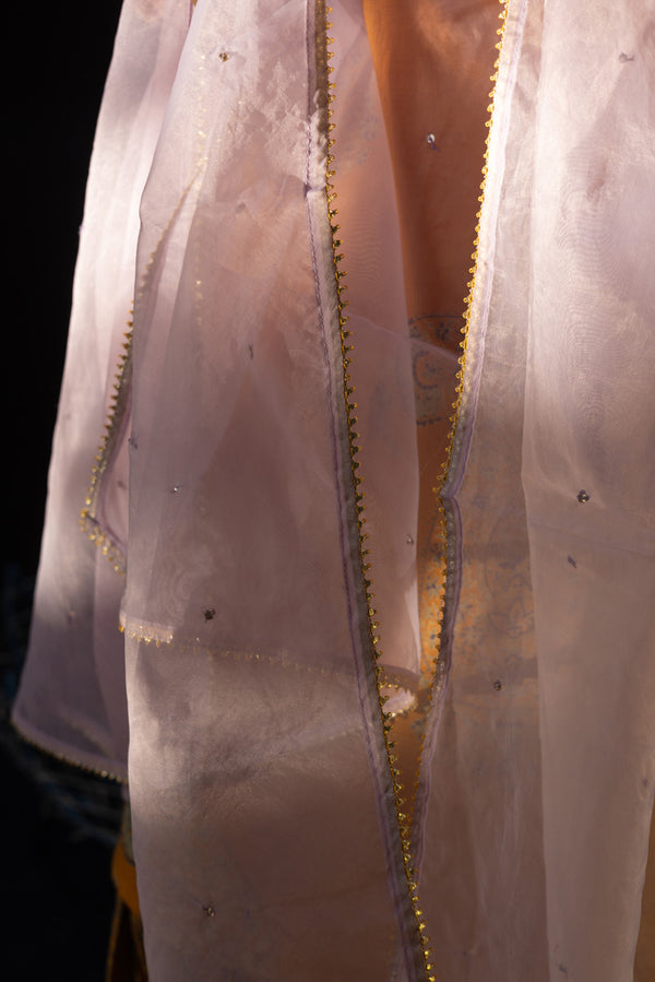 Gota Nur Dupatta
