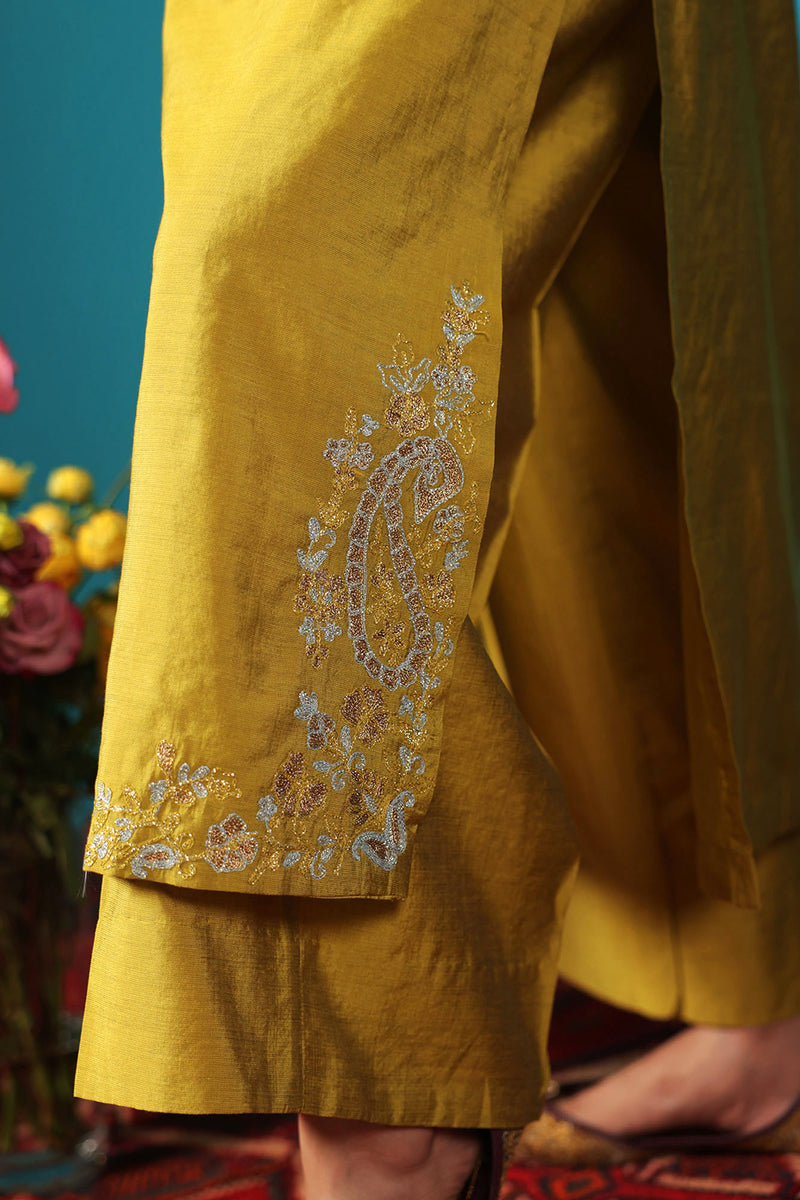 Embroidered Paisley Ensemble
