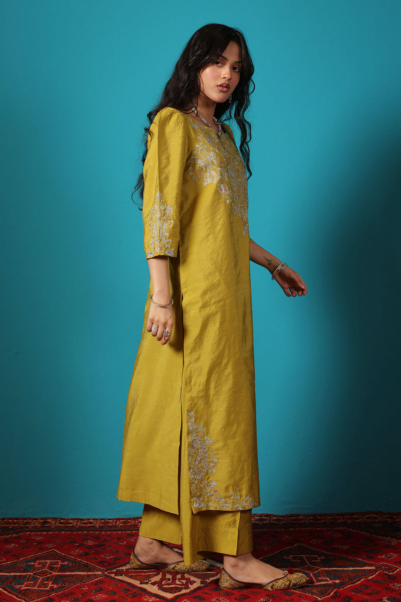 Embroidered Paisley Ensemble