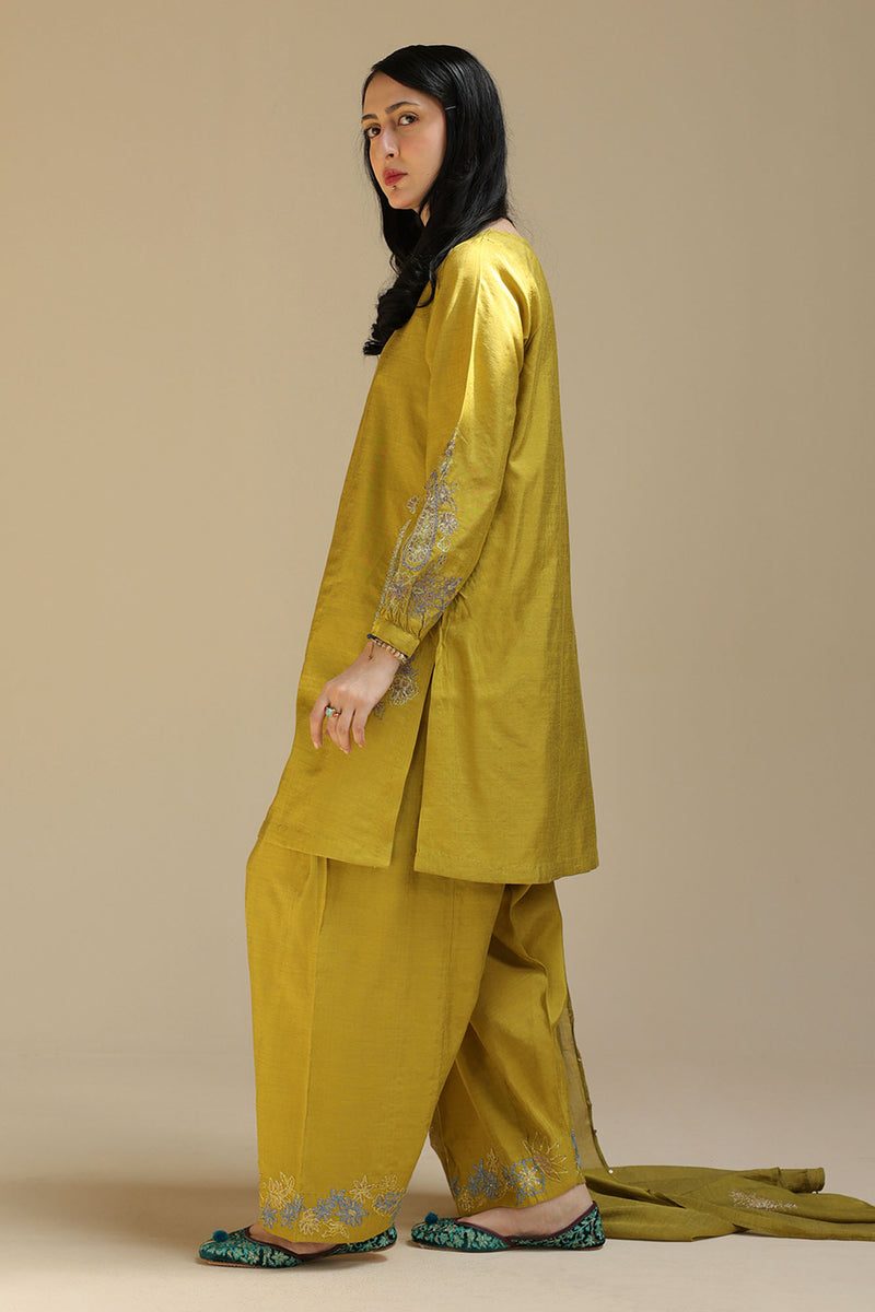 Embroidered Mehr Ensemble