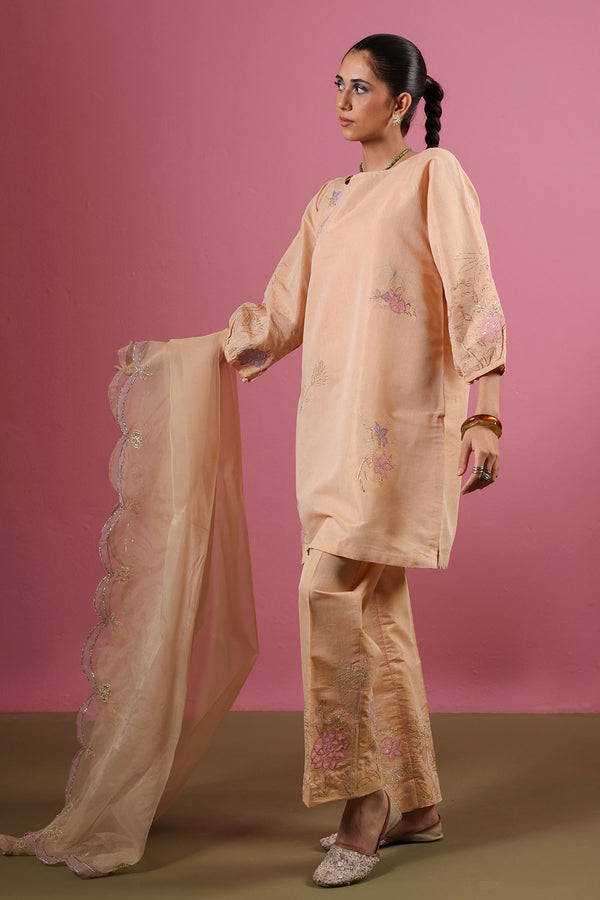 2 piece Dress for women